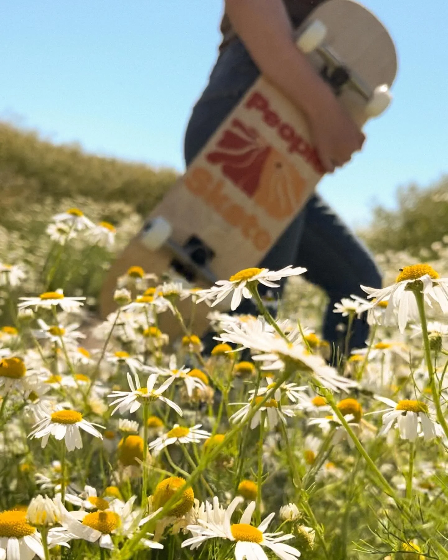 Juli vibes ☀️🌼