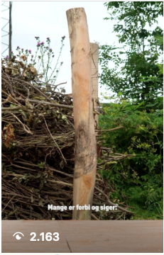 Content for People Skate