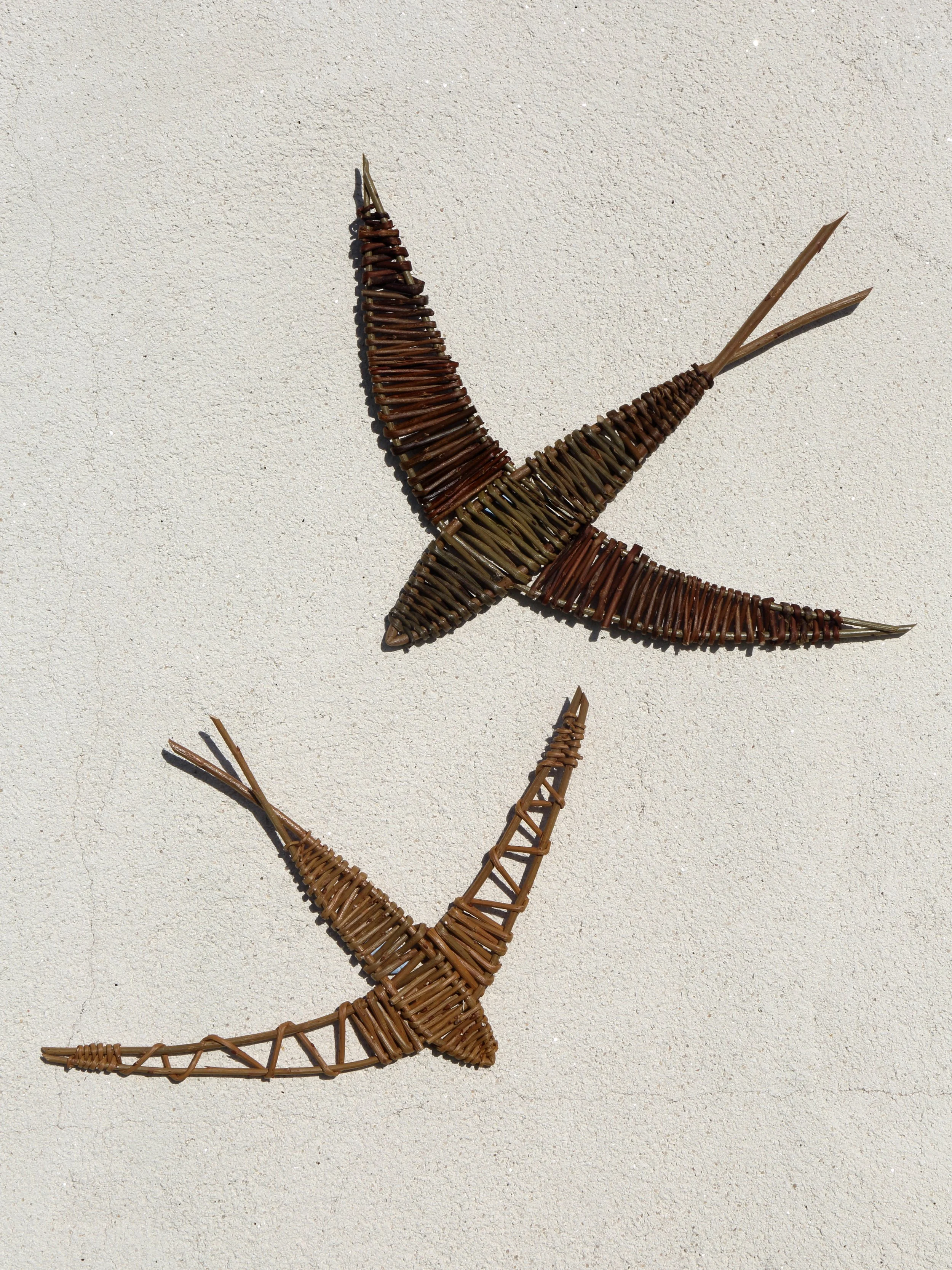 Swallows