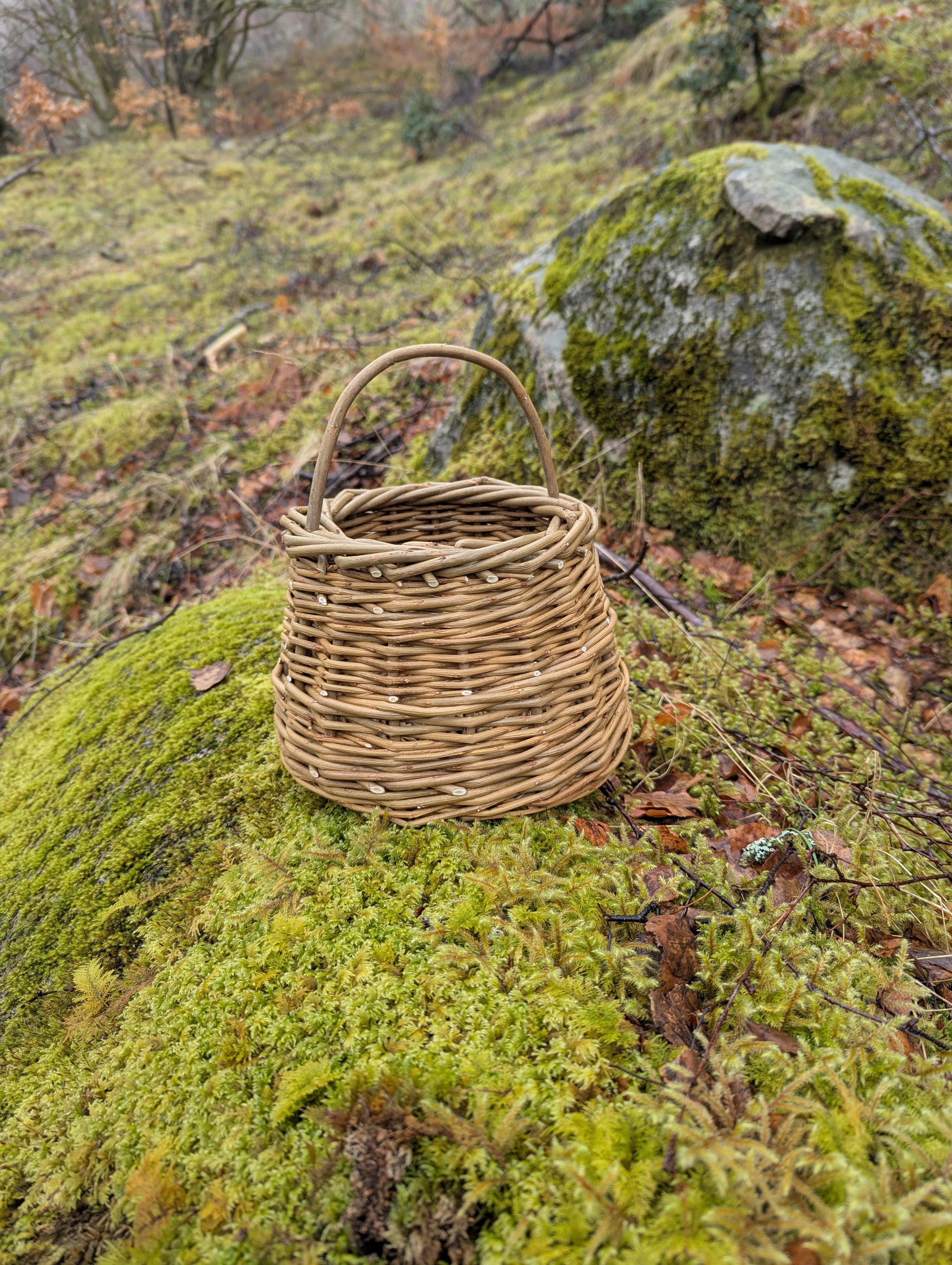 Berry Basket