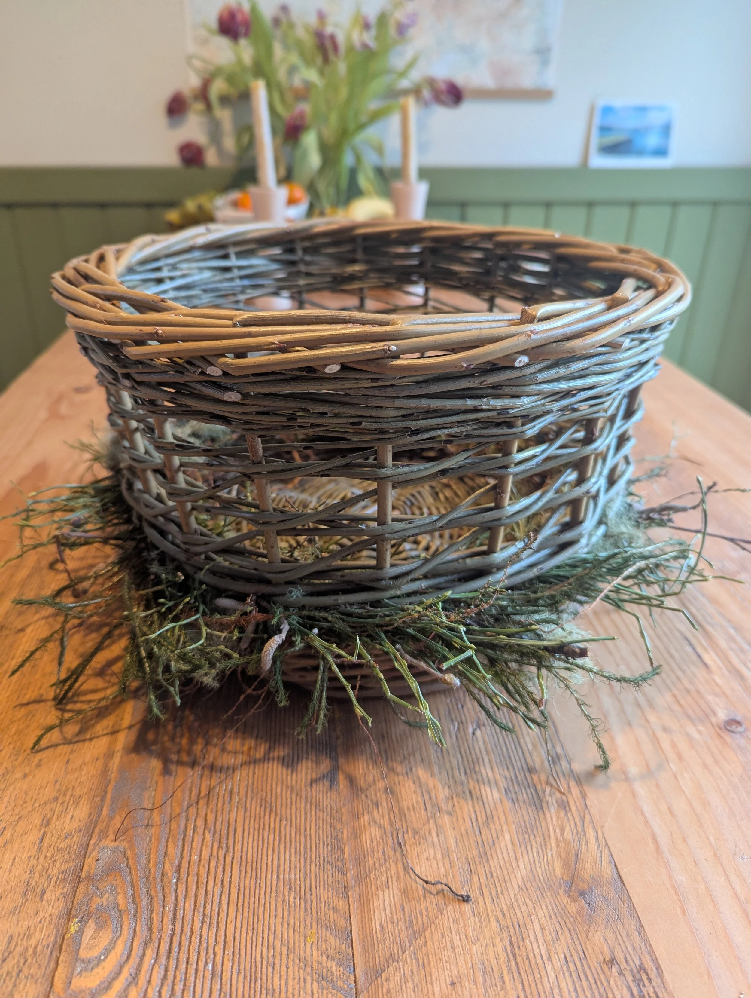 "A Vessel for the Rainforest" 