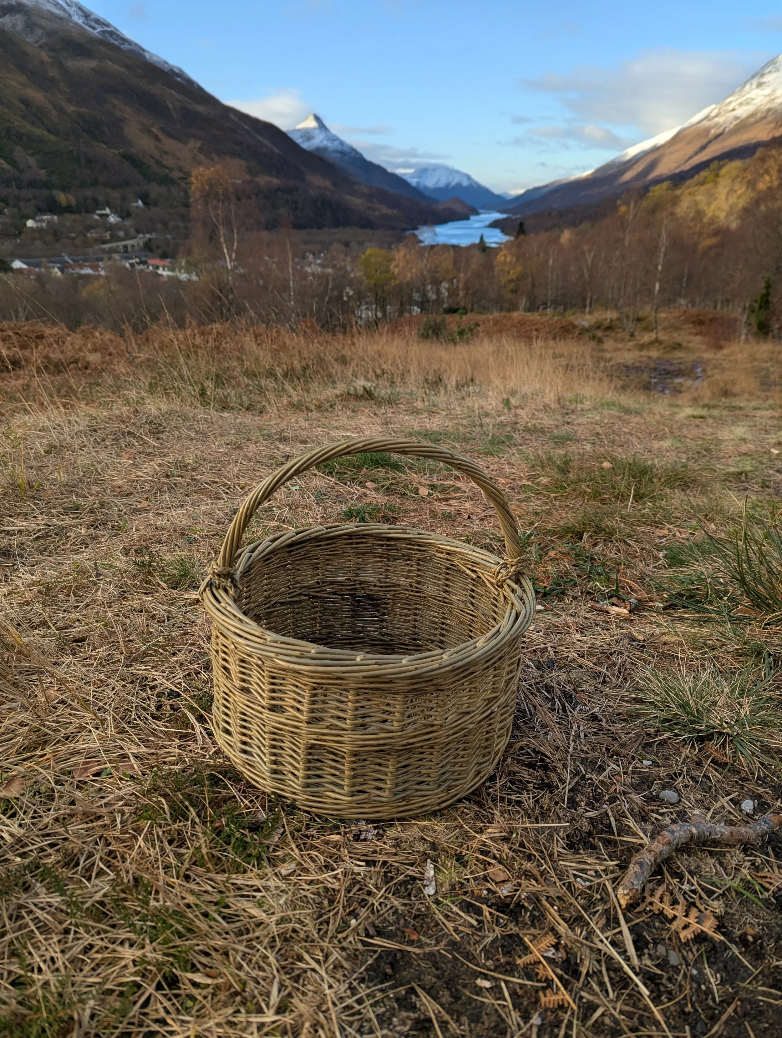 Modern Forager