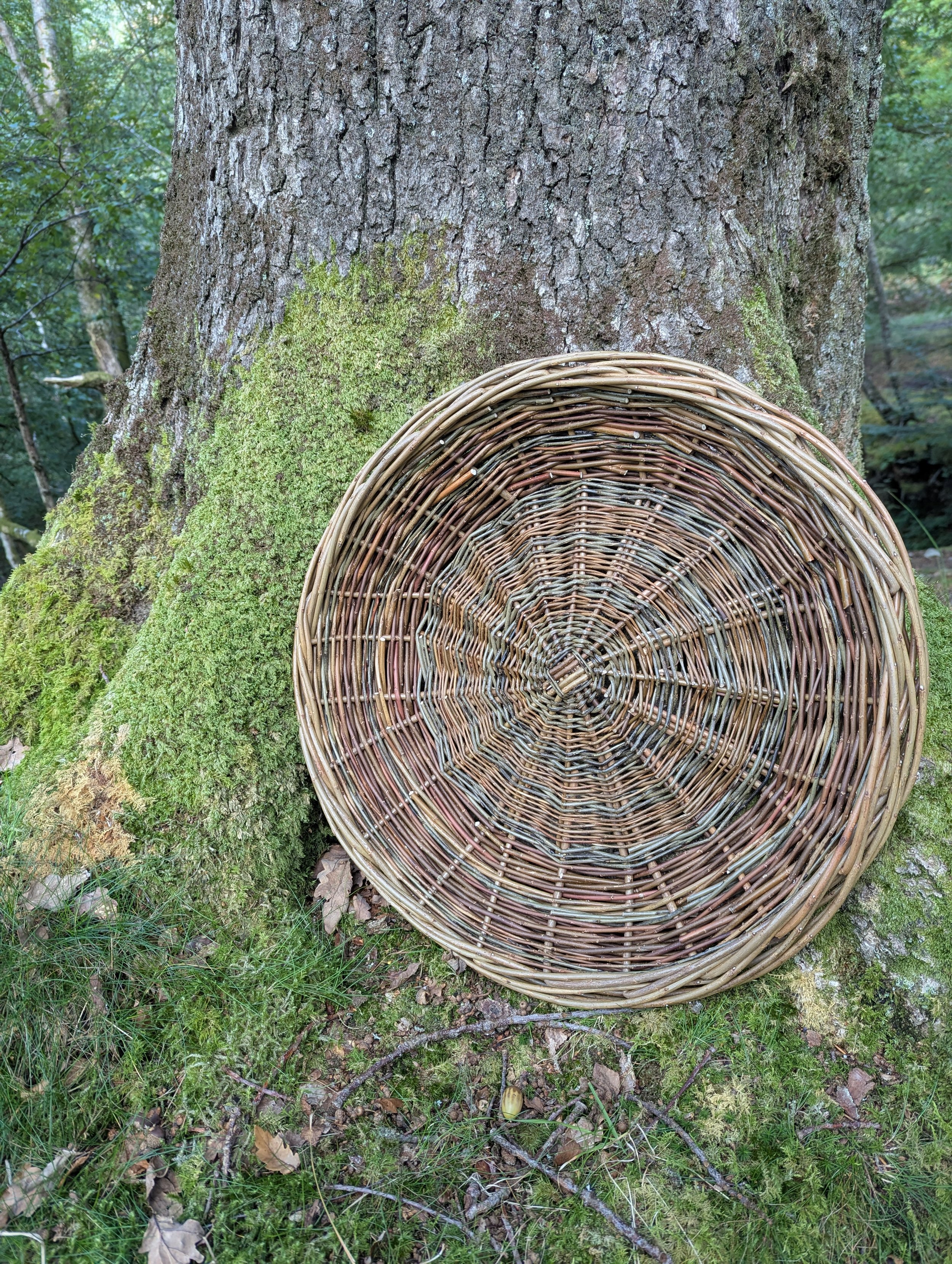Large Platter