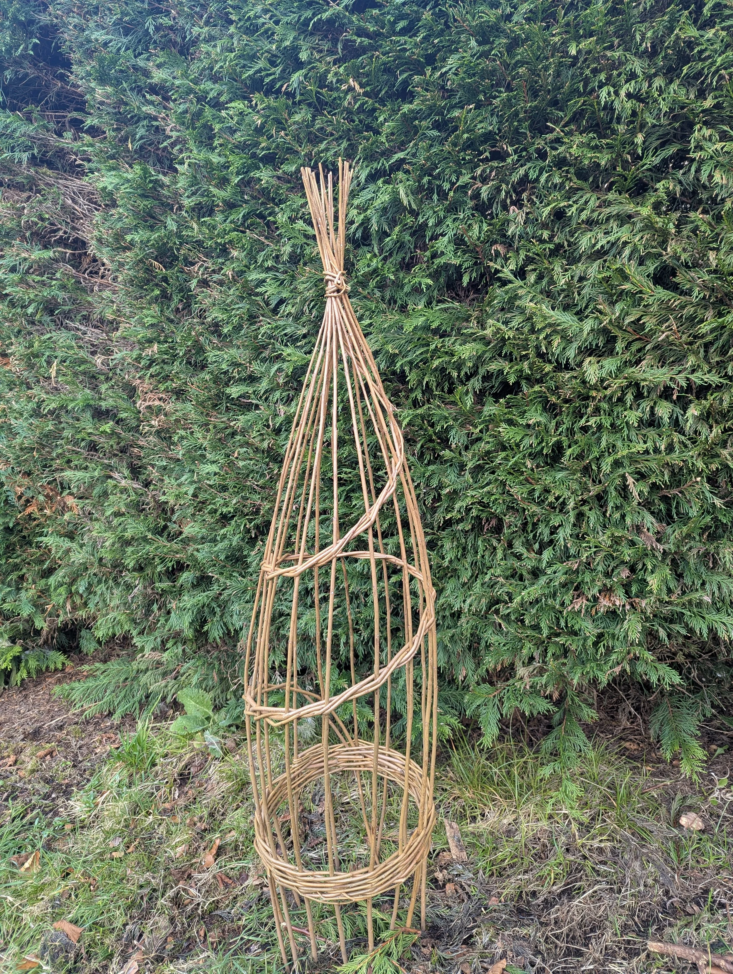 Plant Support
