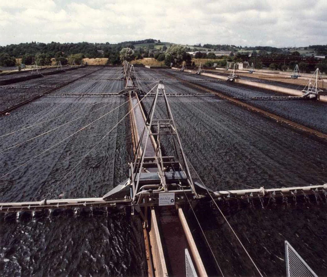 Distributors – Rectangular