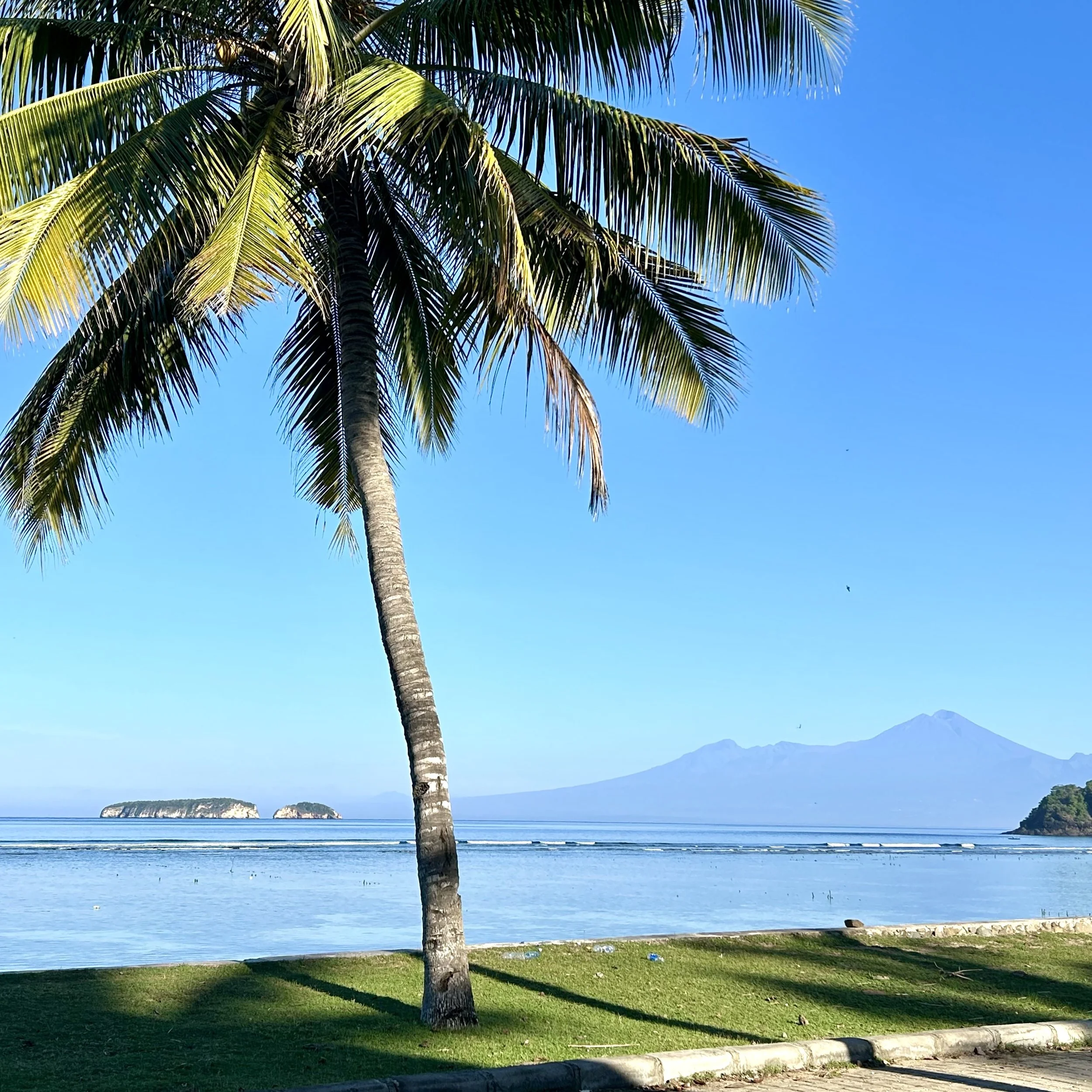 A tropical beach scene with a tall palm tree in the foreground, calm blue water, small islands, and volcanic mountains in the background under a clear blue sky.