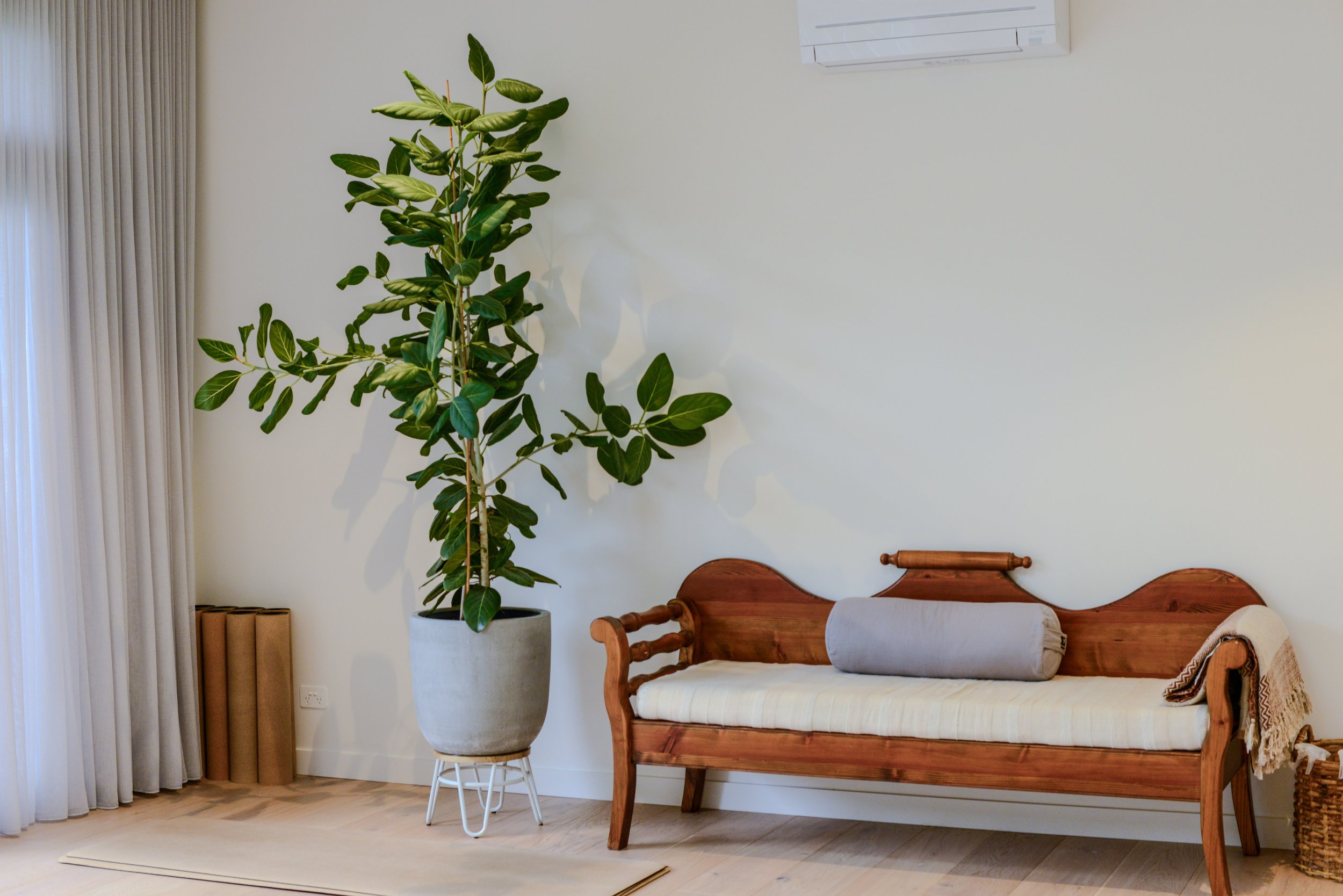 Interior of a room with a large green potted plant, a wooden daybed with a gray pillow, a blanket, and an air conditioning unit on the wall.