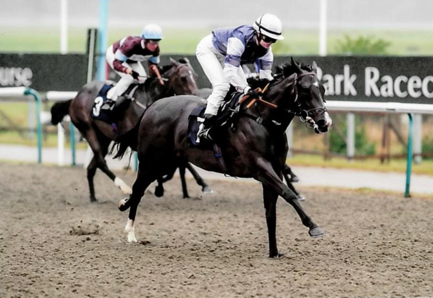 Loleeta wins at Lingfield for the No Fun Winning Alone Syndicate at Lingfield
