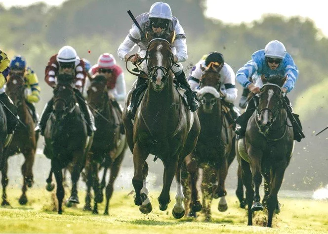 Glitterati winning at Chepstow for the No Fun Winning Alone Syndicate