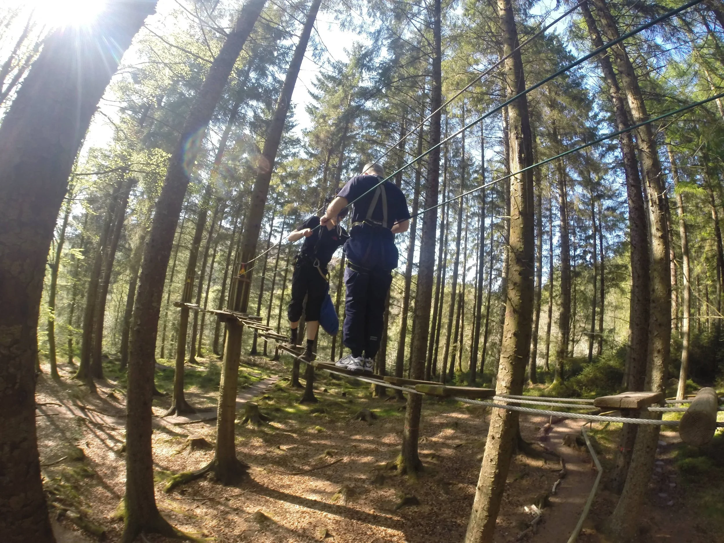 Two people walking on a rope bridge in a forest with tall trees and sunlight filtering through the leaves.