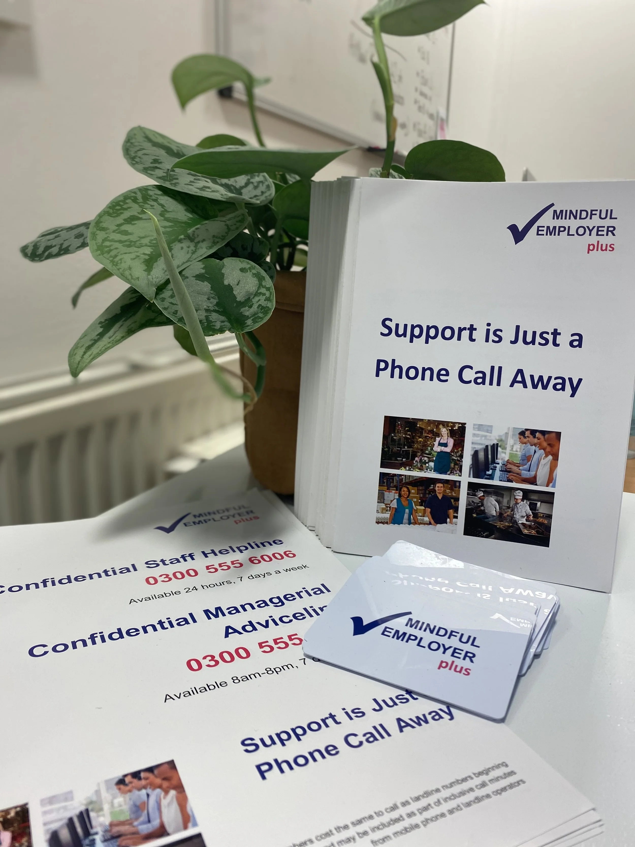 Brochure, flyers, and business cards for Mindful Employer Plus displayed on a table with a potted plant. The materials promote phone support and advisory services, with contact numbers and photos of people at work.