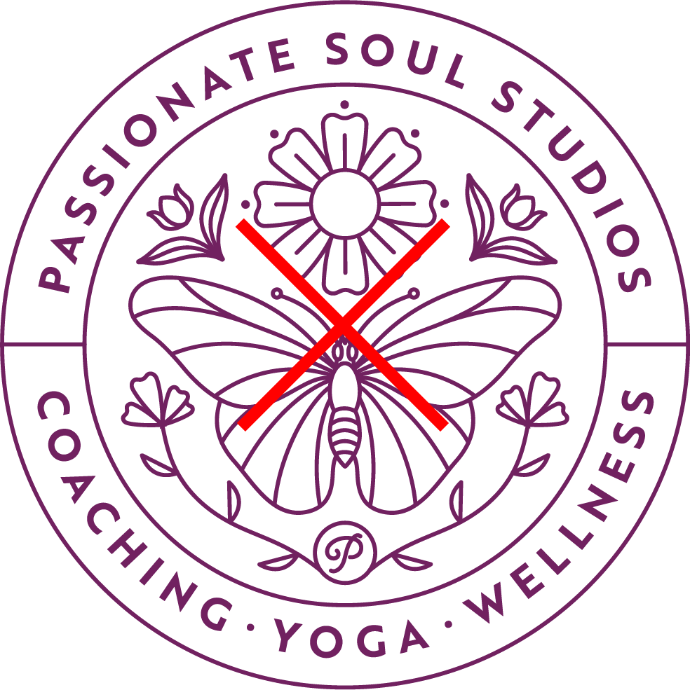 Passionate Soul Studios