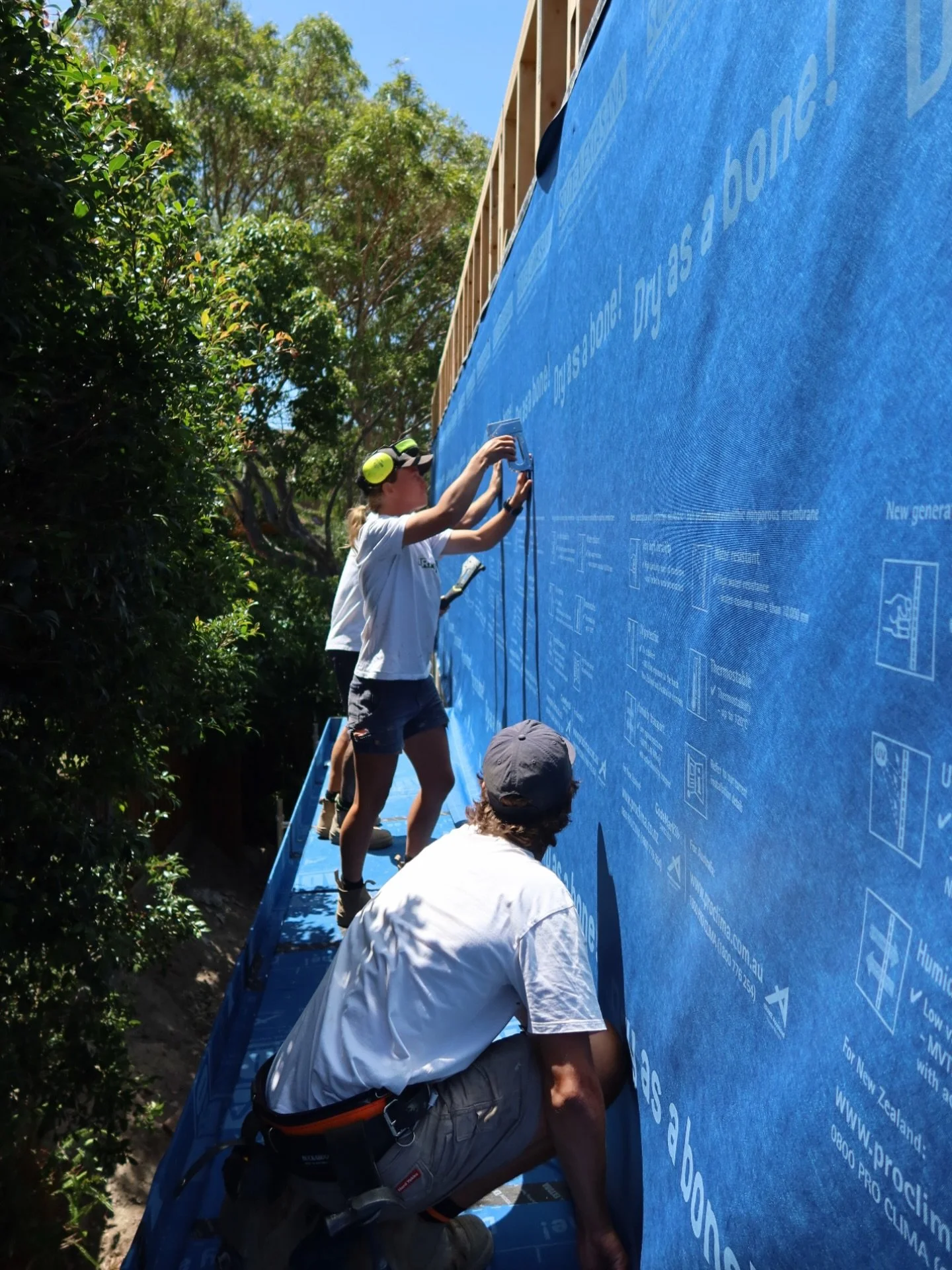 Maroubra in progress.