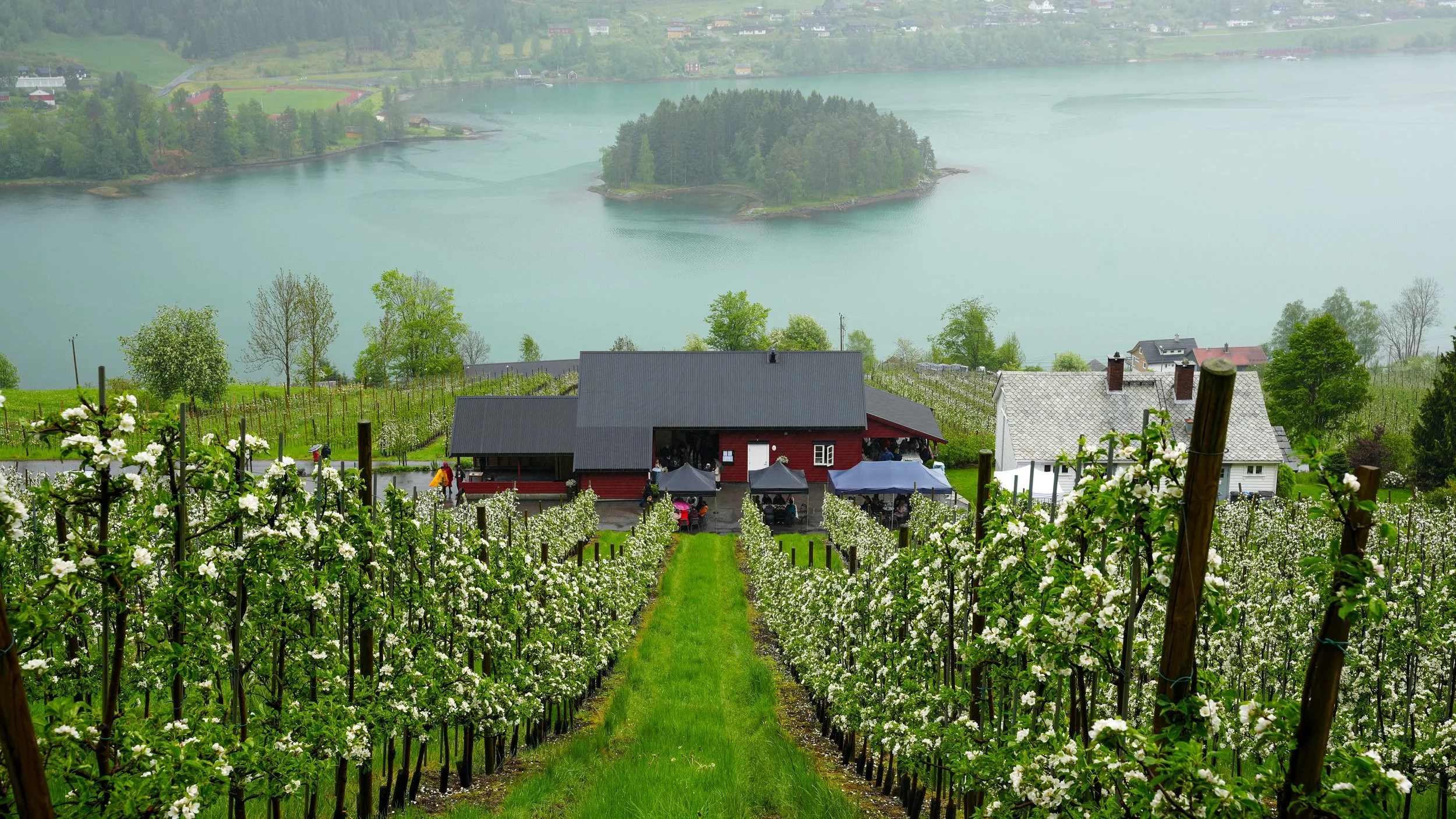 innlegg-16.jpg