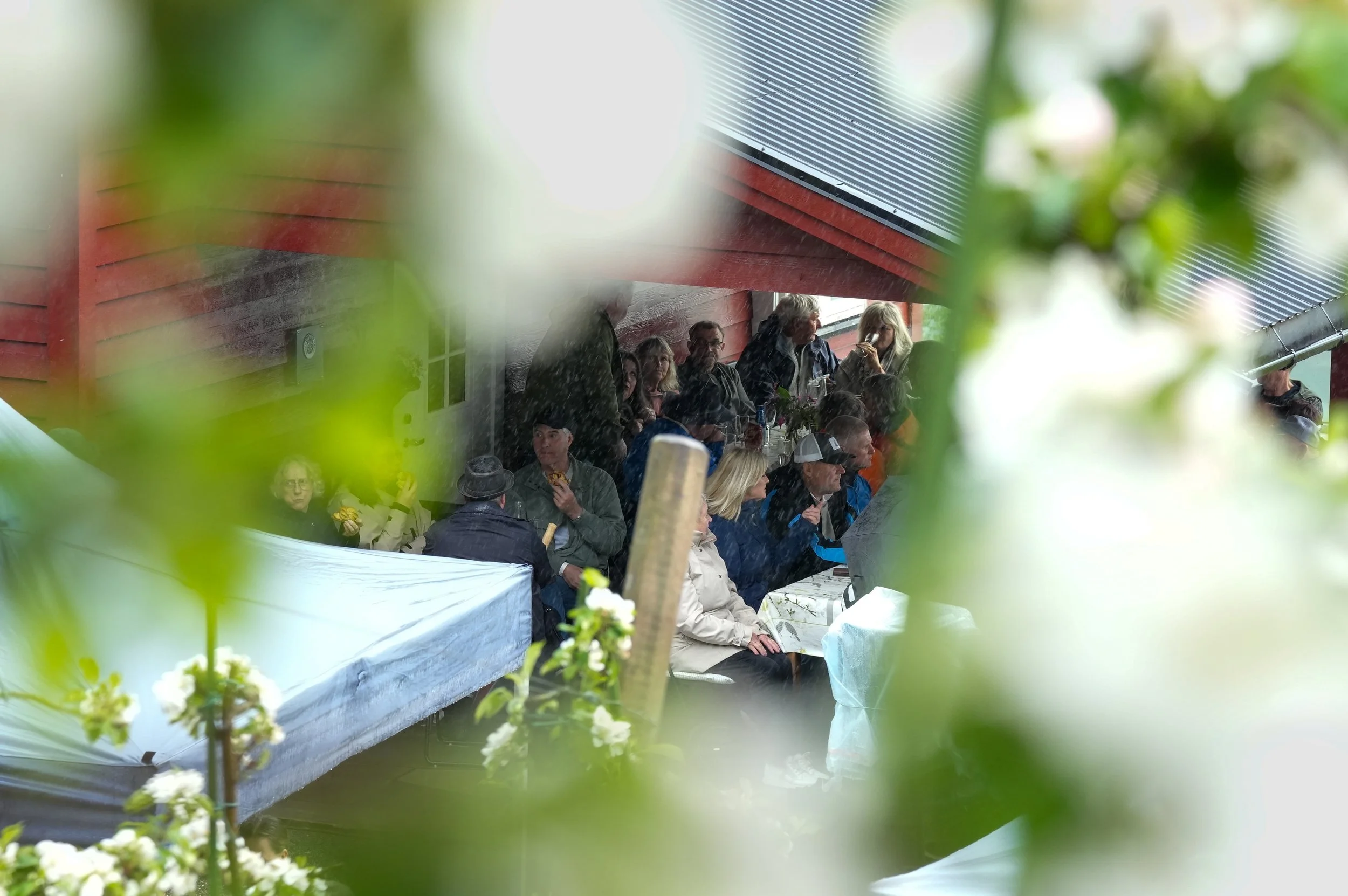 innlegg-3-2.jpg