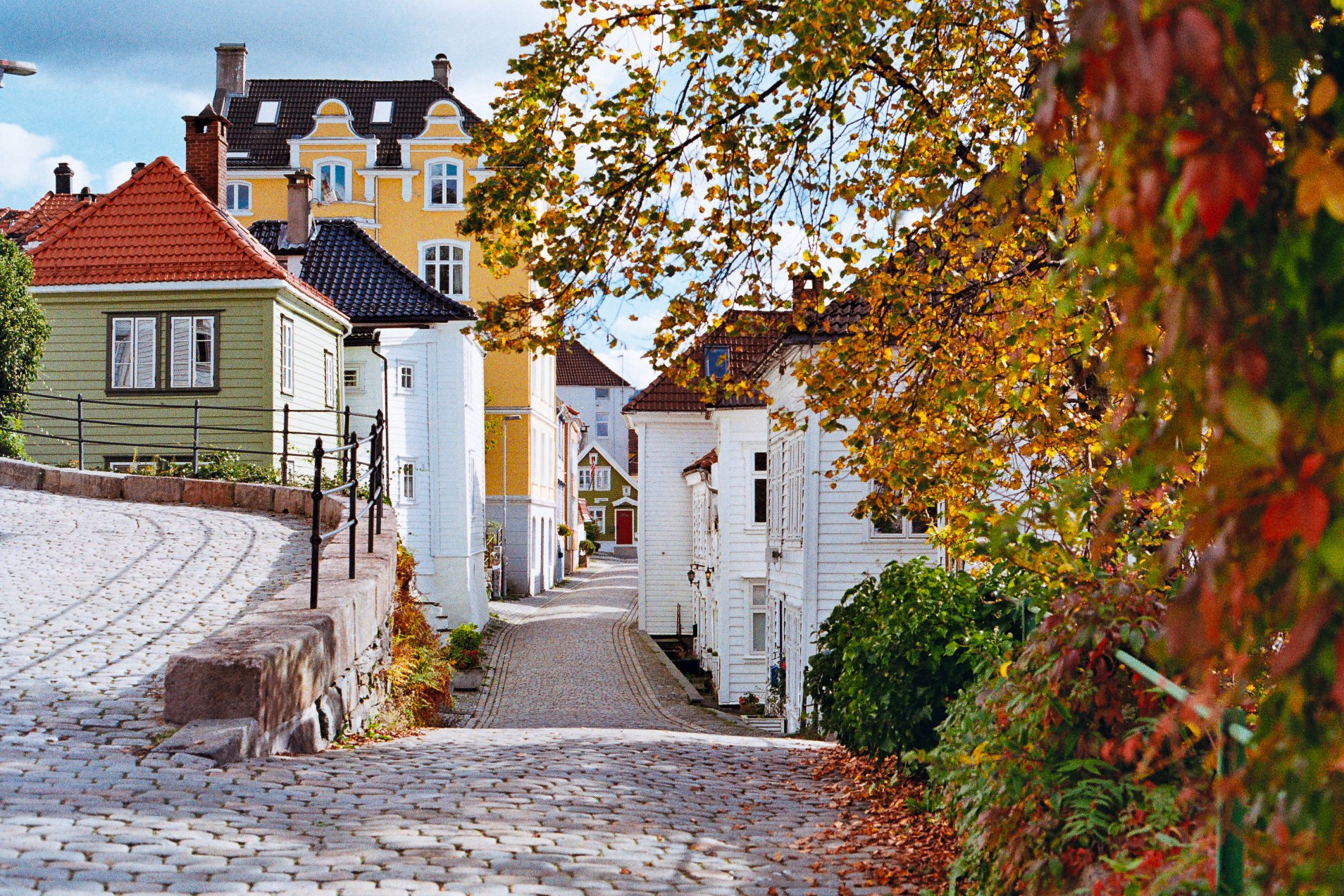 nettside-14.jpg