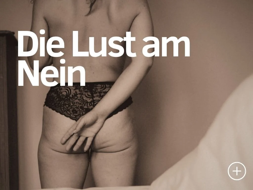 Die Lust am Nein 16.-17.1.27