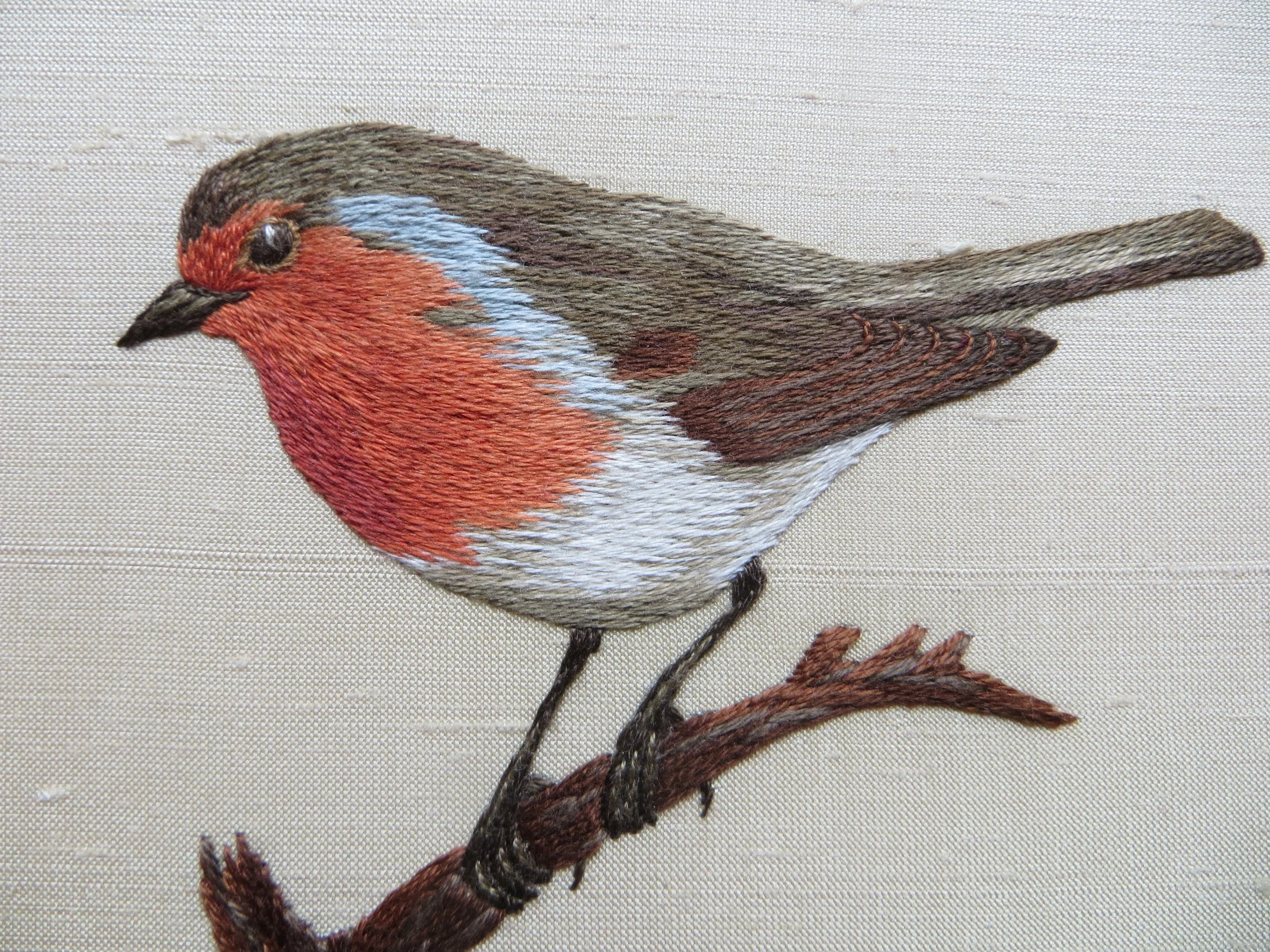Robin