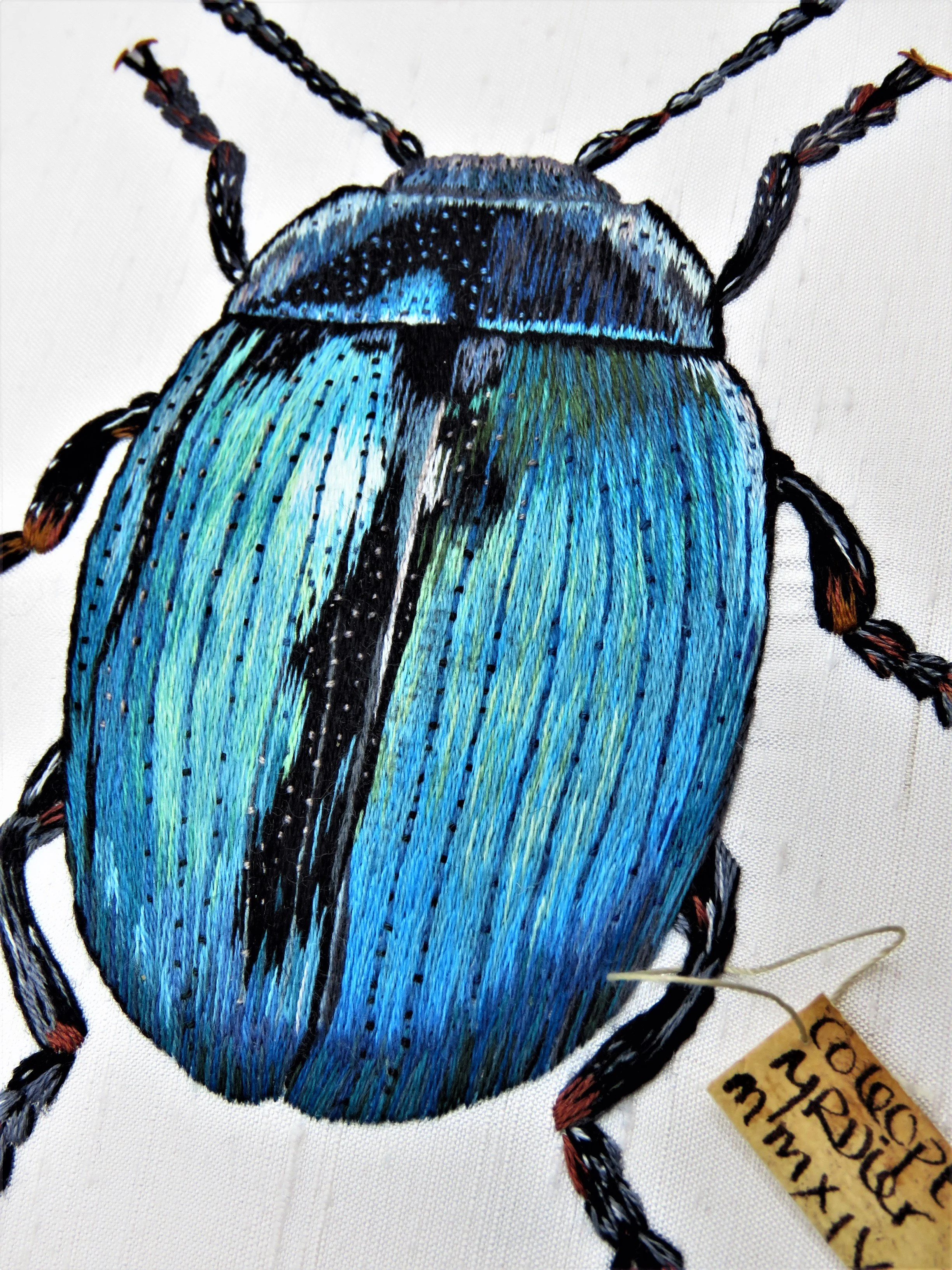 Turquoise Beetle