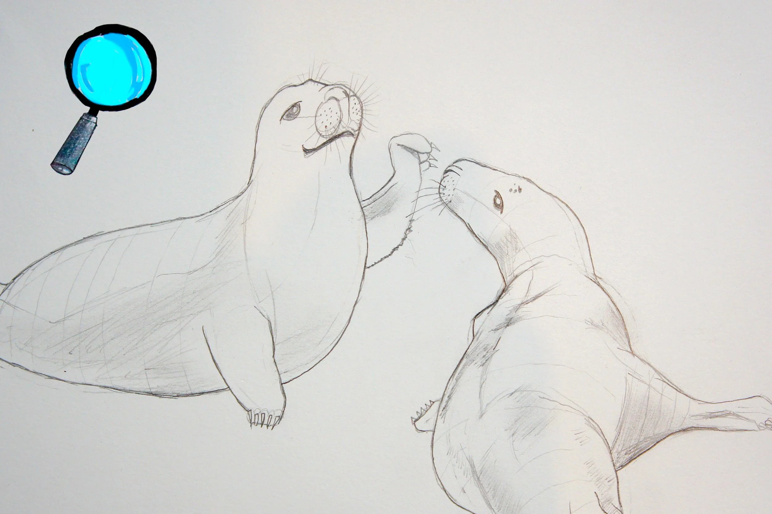 Cómo Transmitir Movimiento a tus Dibujos: Primeros Pasos