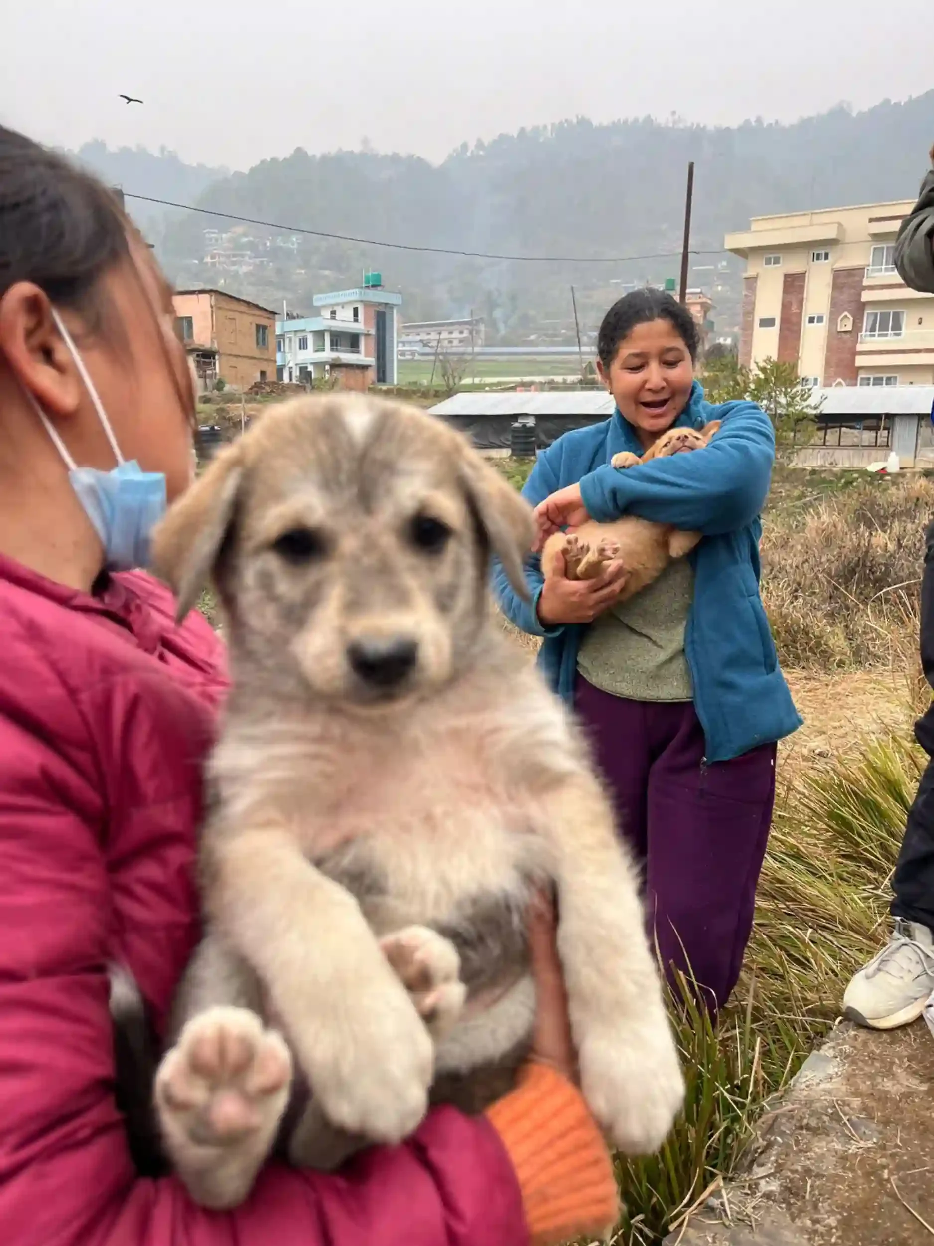 Locals with street dogs