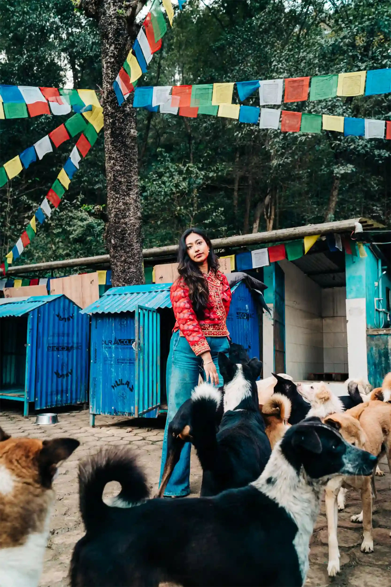 Our founder Bipsha with a group of street dogs at a shelter