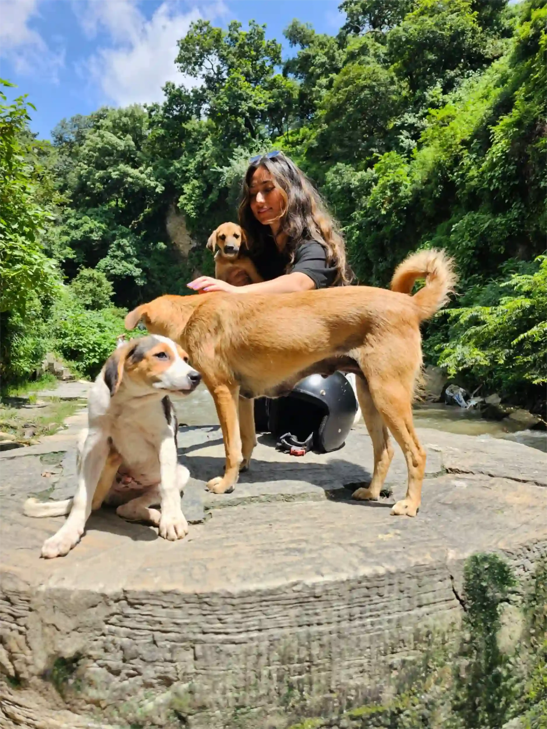 Our founder Bipsha with street dogs