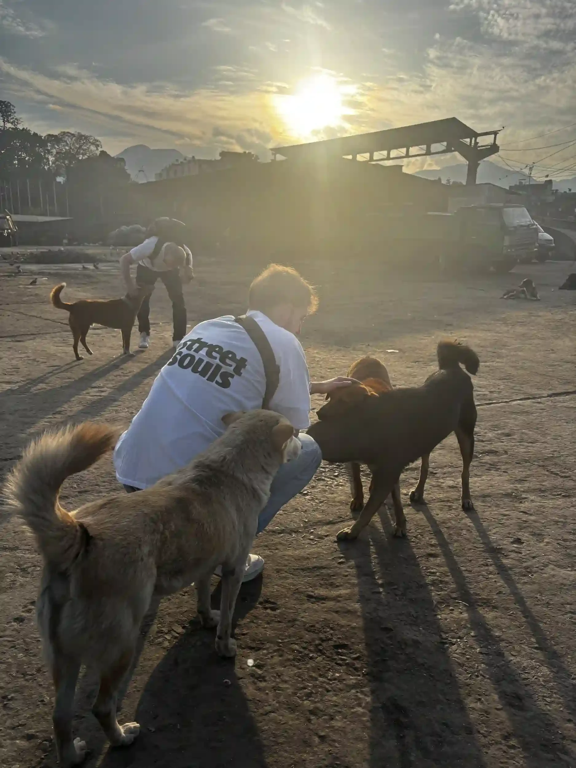 Conor, Chris and a group of street dogs
