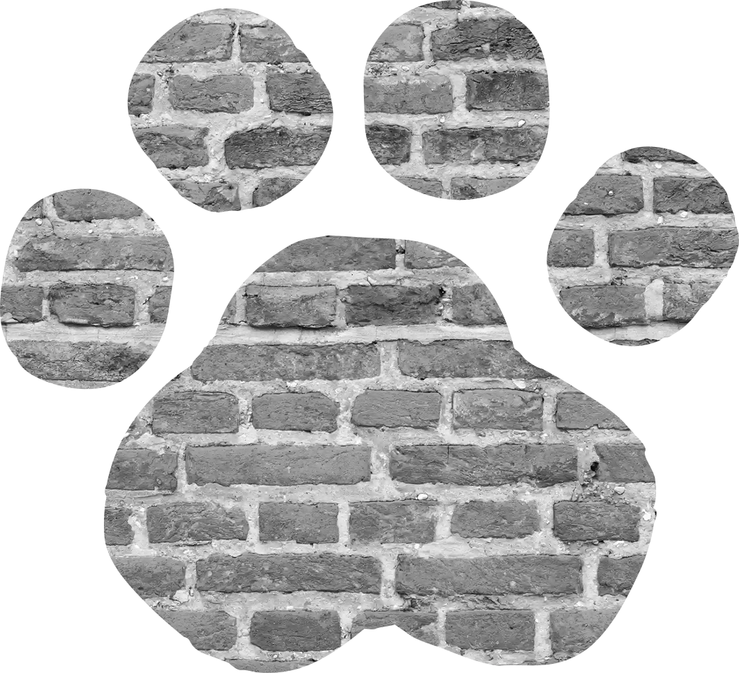 Paw graphic decoration