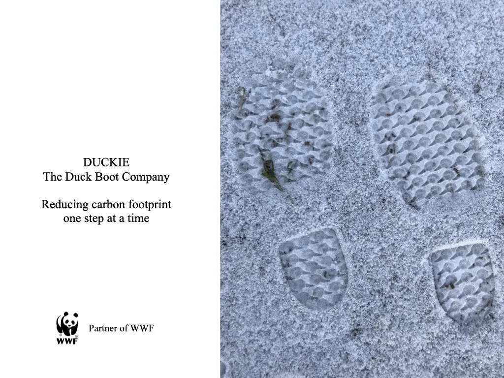 Portfolio C Cronborg.005.jpeg