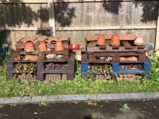 Bug Hotel.jpg