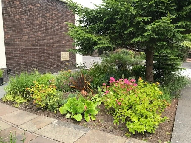 Front Border 2.jpg