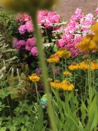 Front Border 3.jpg