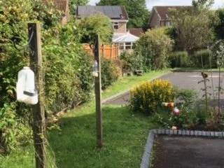 Veggie and Fruit Border 2.jpg