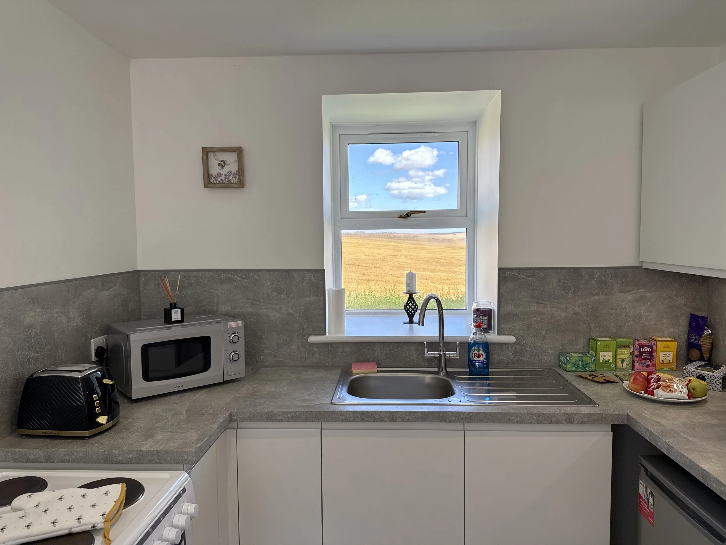 Kitchen with white walls, gray countertop, a window showing a field and blue sky, and various appliances including a microwave, toaster, and dish soap.