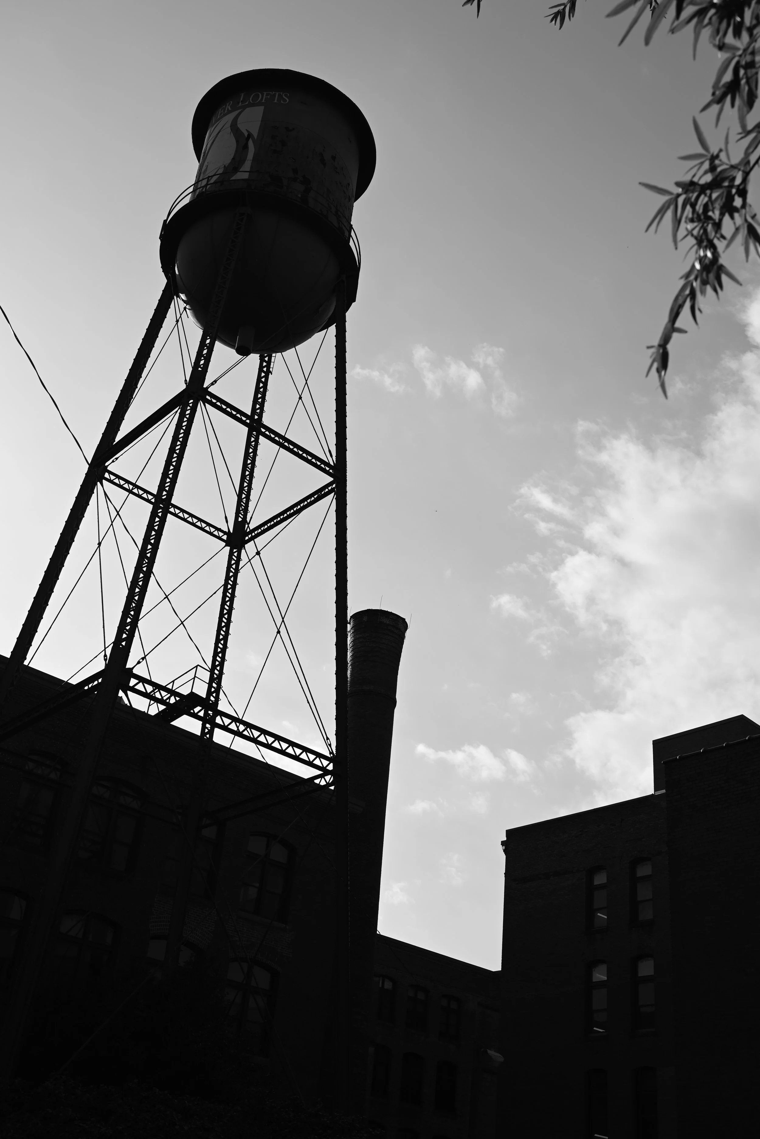 _DSC0549 Orignal.JPG