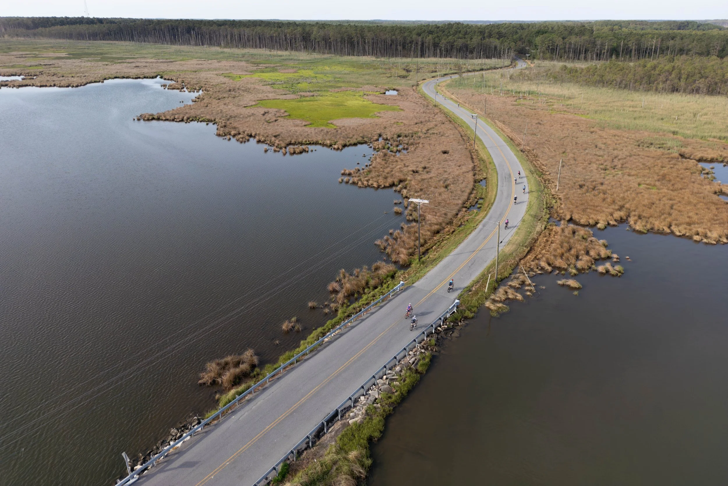 DJI_0170.jpg