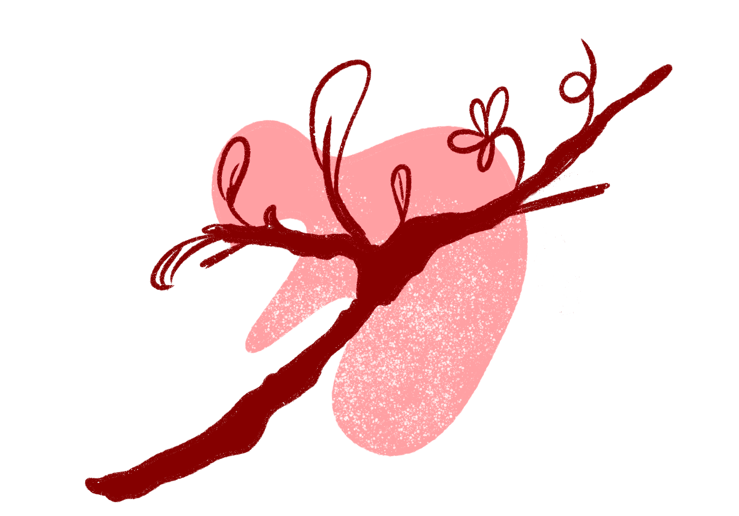 Light Red Growth Oriented.png