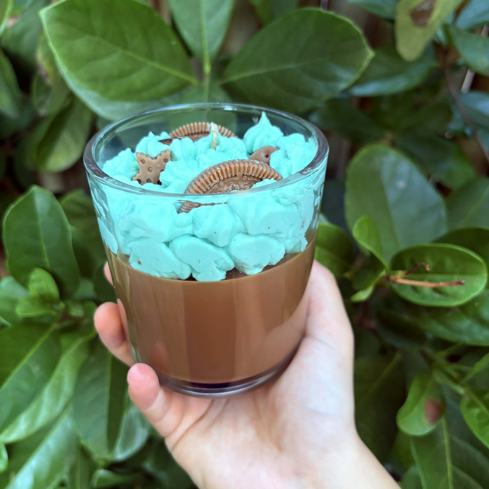 Soy Wax Whipped Candle