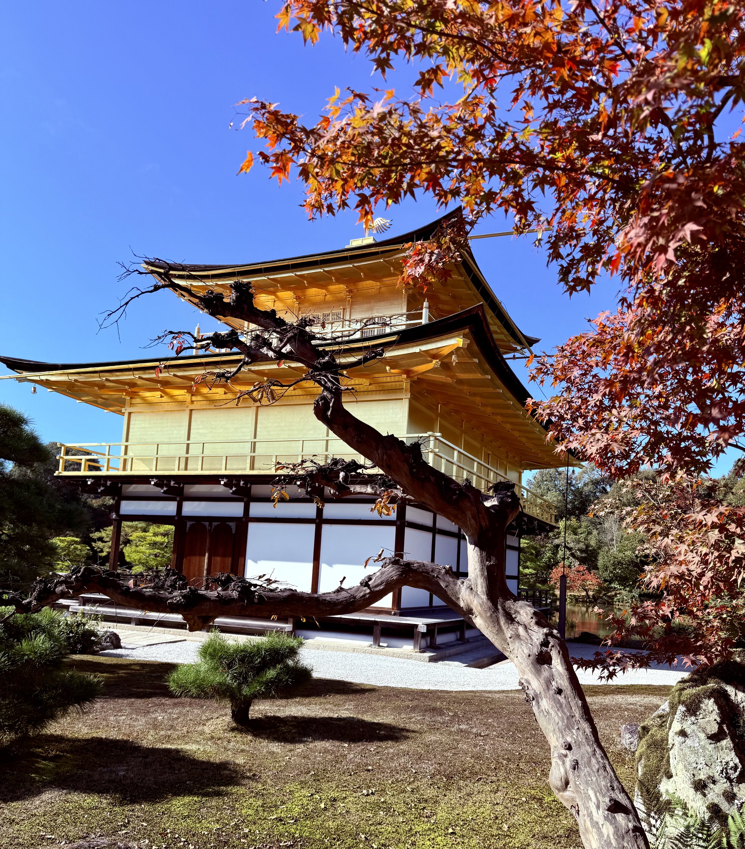 Beyond Thanksgiving:  adopting a gratitude mindset - an investment in your wellbeing