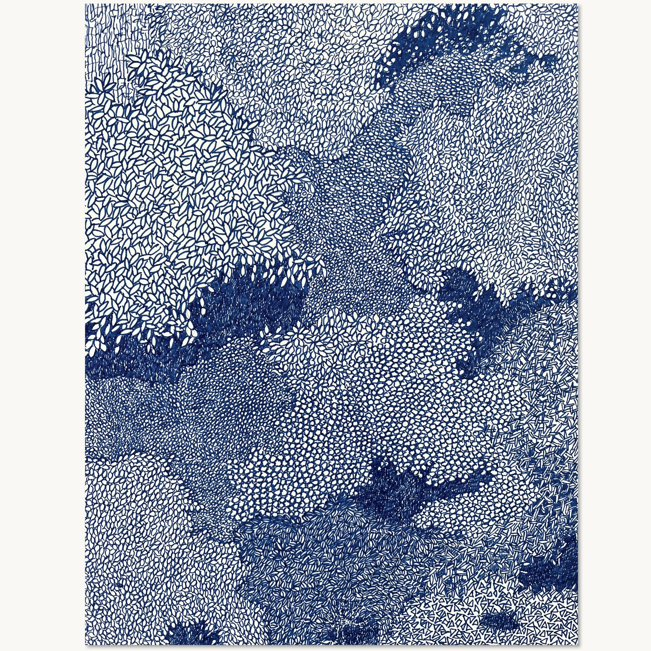 Nærbillede to, af skovbundens mønstre på tegningen: Skovbund og løvtag