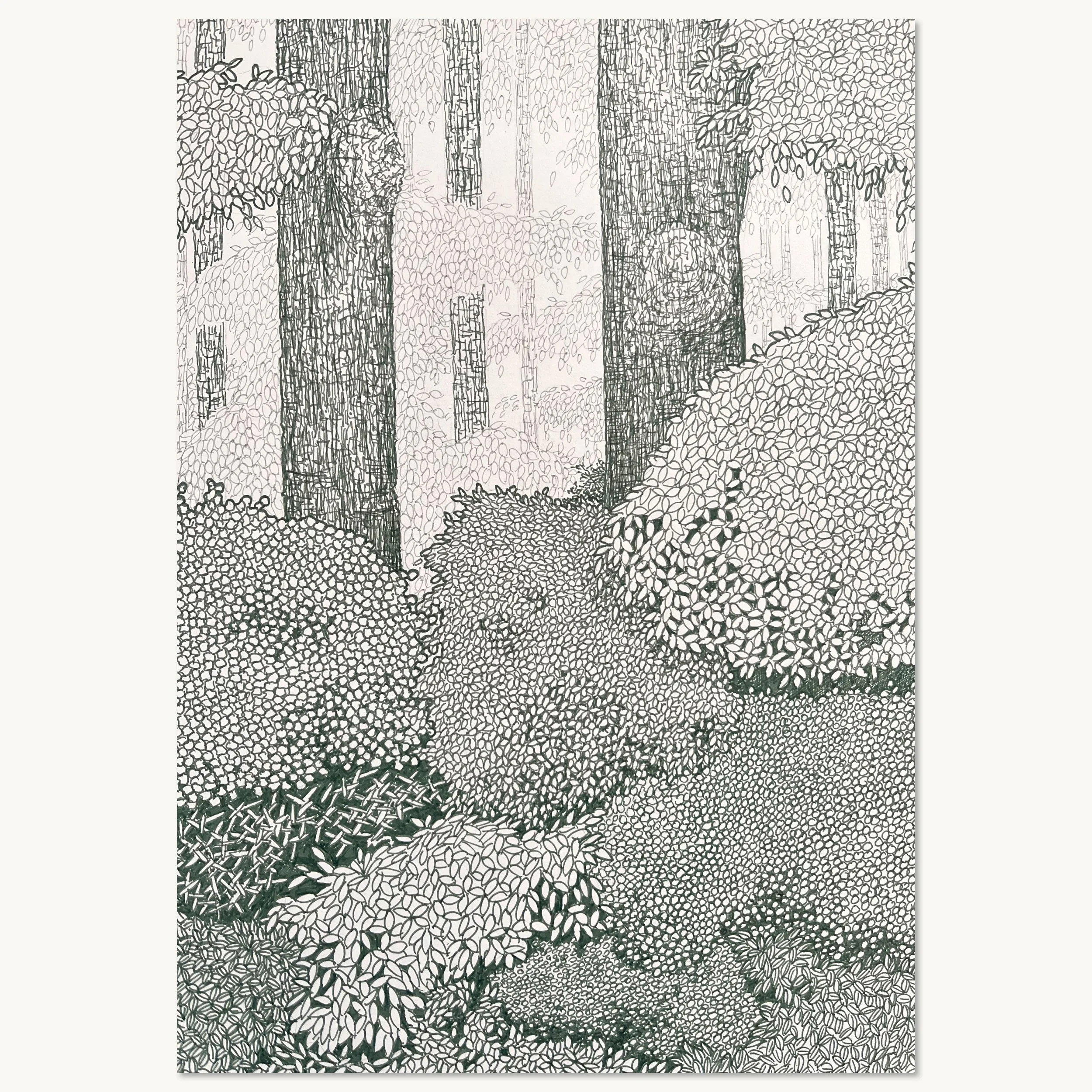 Udsnit af tegningen: Grøn skovbund og løvtop