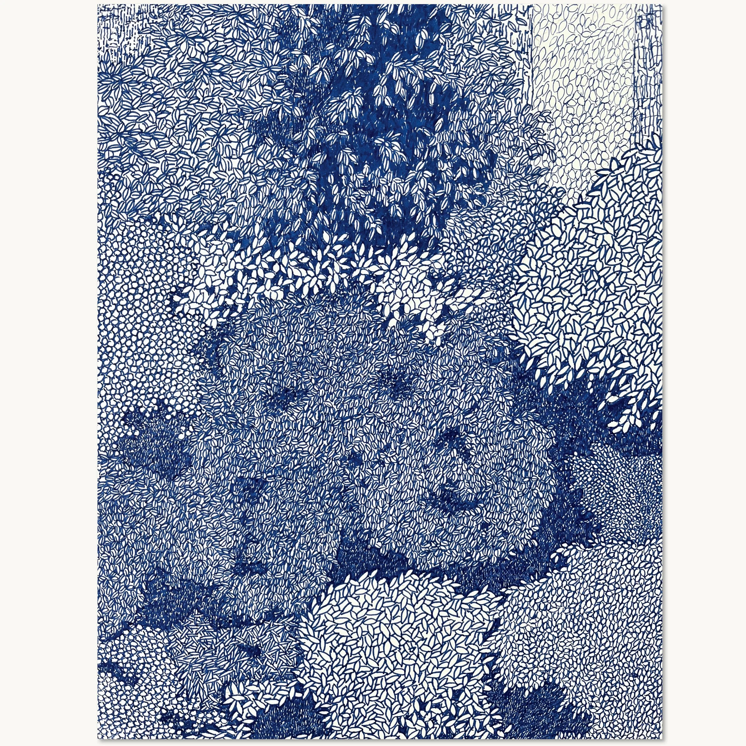 Nærbillede af skovbundens mønstre på tegningen: Skovbund og løvtag