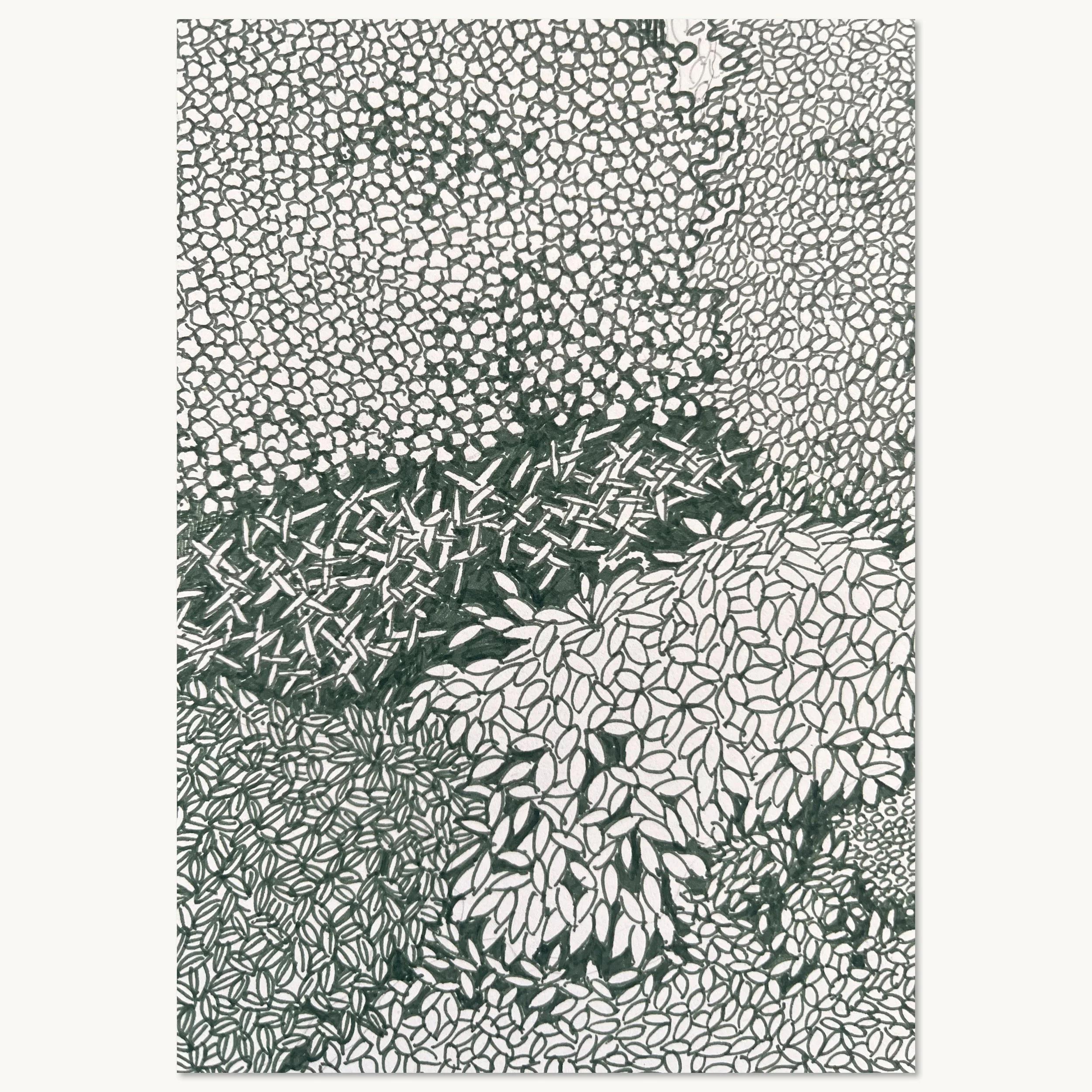 Andet udsnit af tegningen: Grøn skovbund og løvtop.