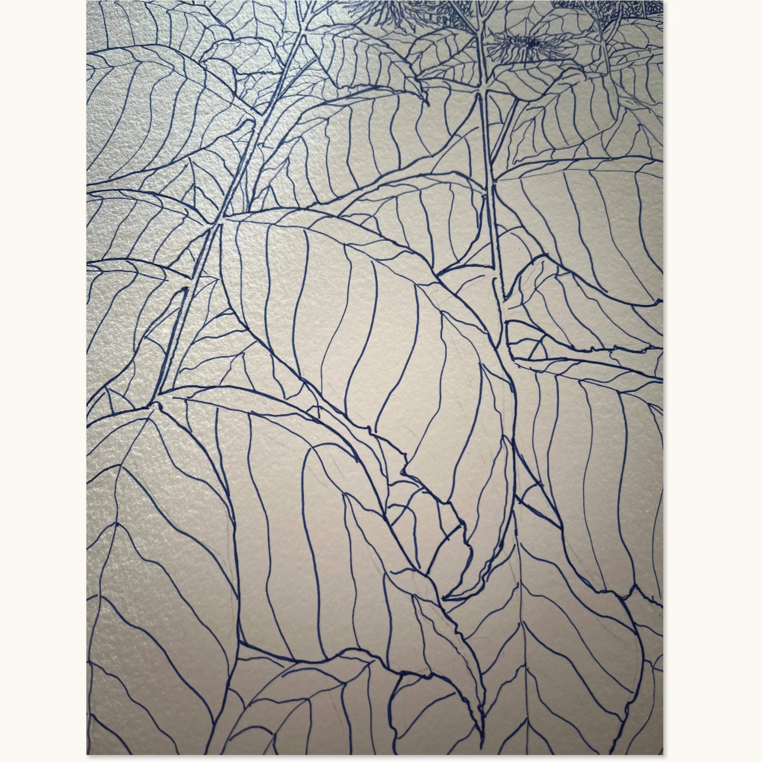 Nærbillede af tegning med Stor tusindstråles blad-mønster