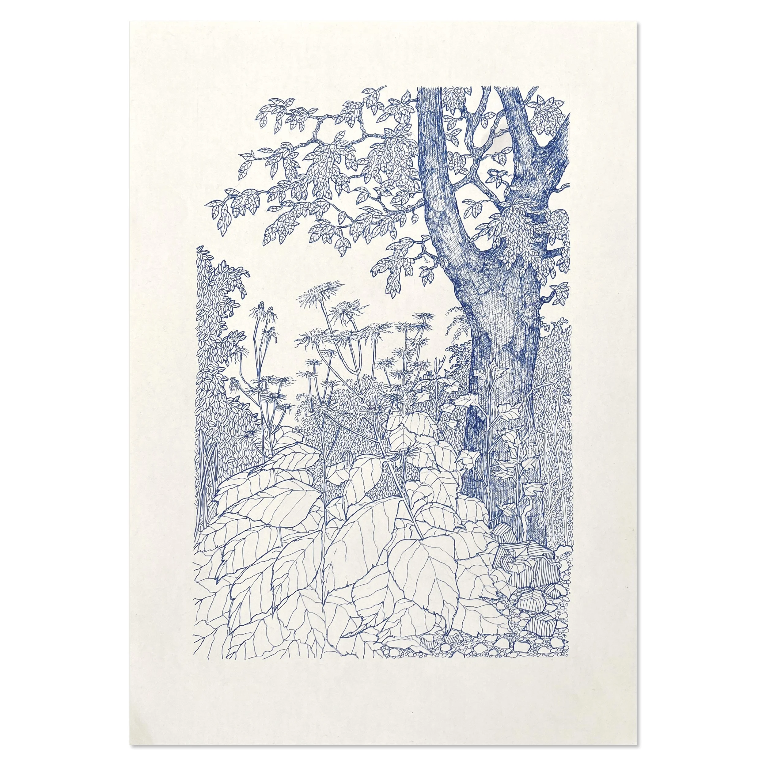 Stor 1000 stråle_uden sort kant.jpg