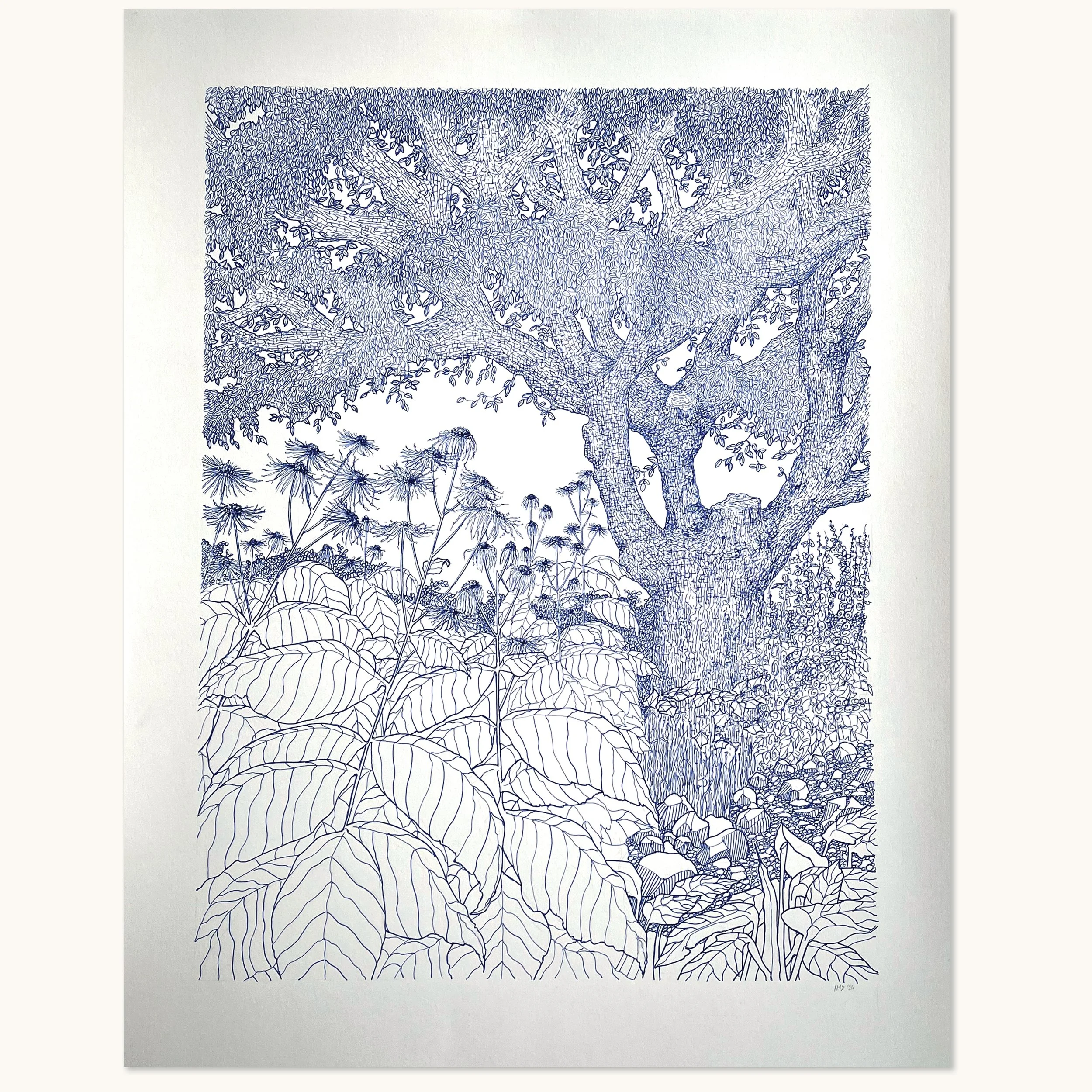 Stor tusindstråle og æbletræ