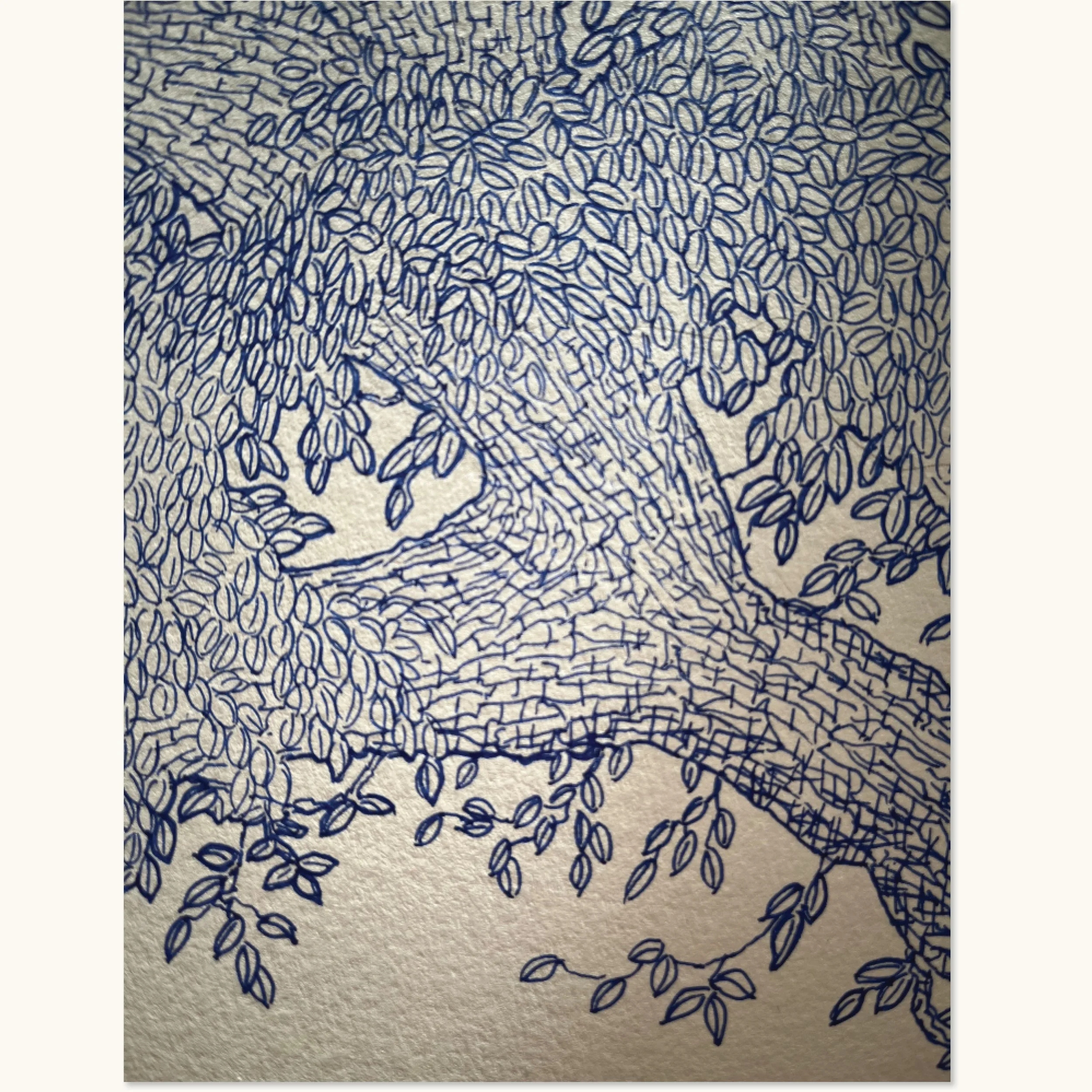 Nærbillede af stor tegning med bark og blad-mønstre