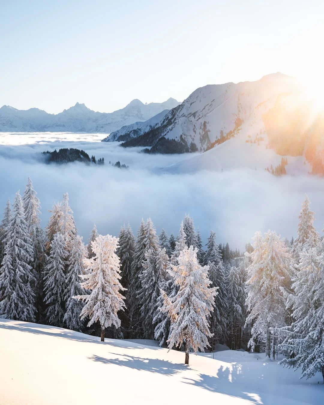 snow8.jpg