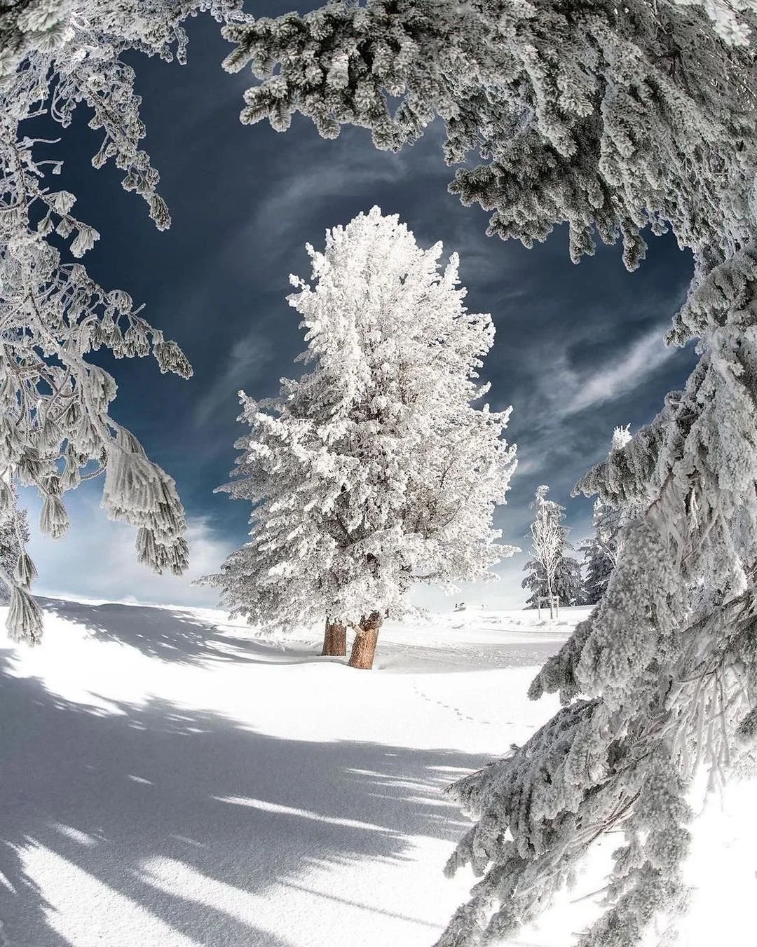 snow7.jpg